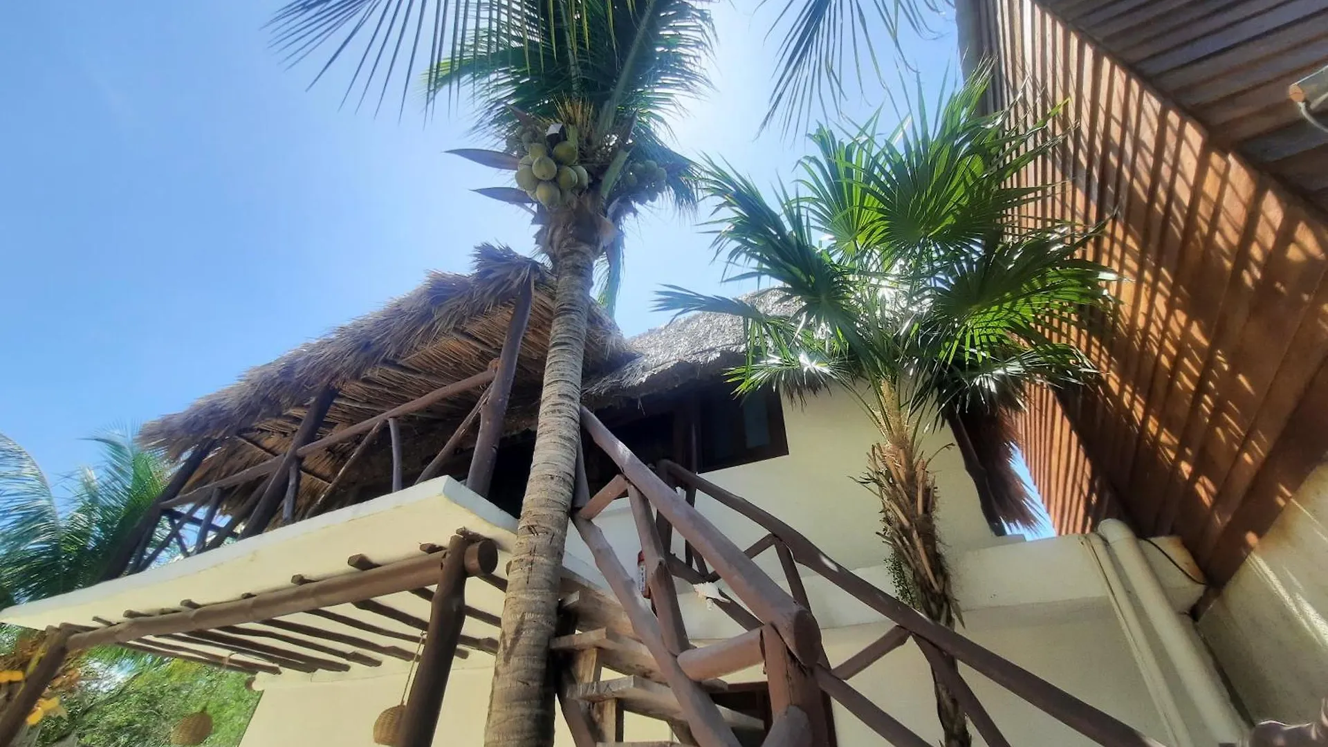 Casa Sofia Holbox Aparthotel Mexico