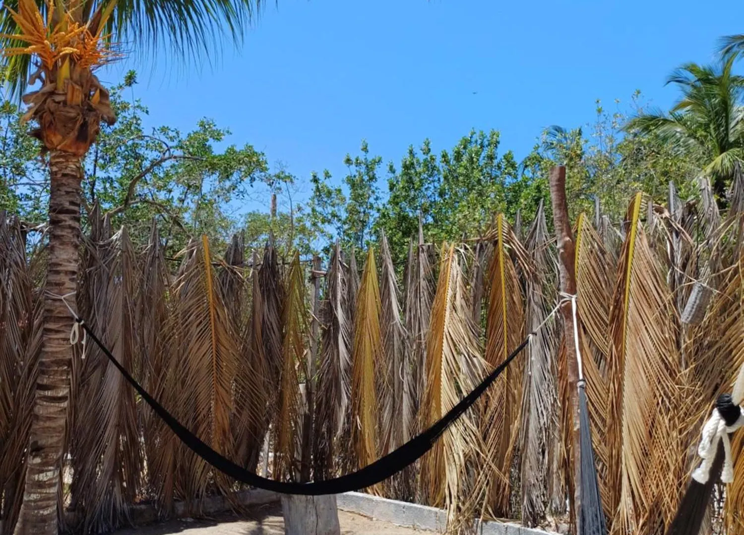 Casa Sofia Holbox Aparthotel 2*, Isla Holbox